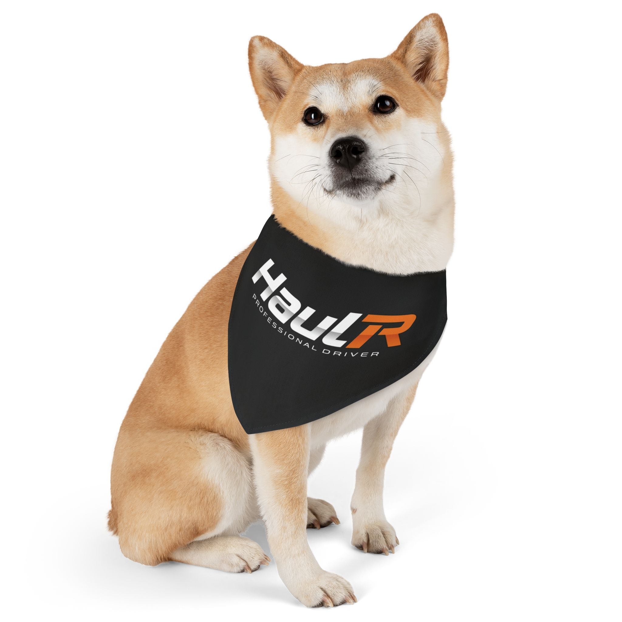 HaulR Pet Bandana Collar — ‘Professional Driver’ Black Dog Bandana